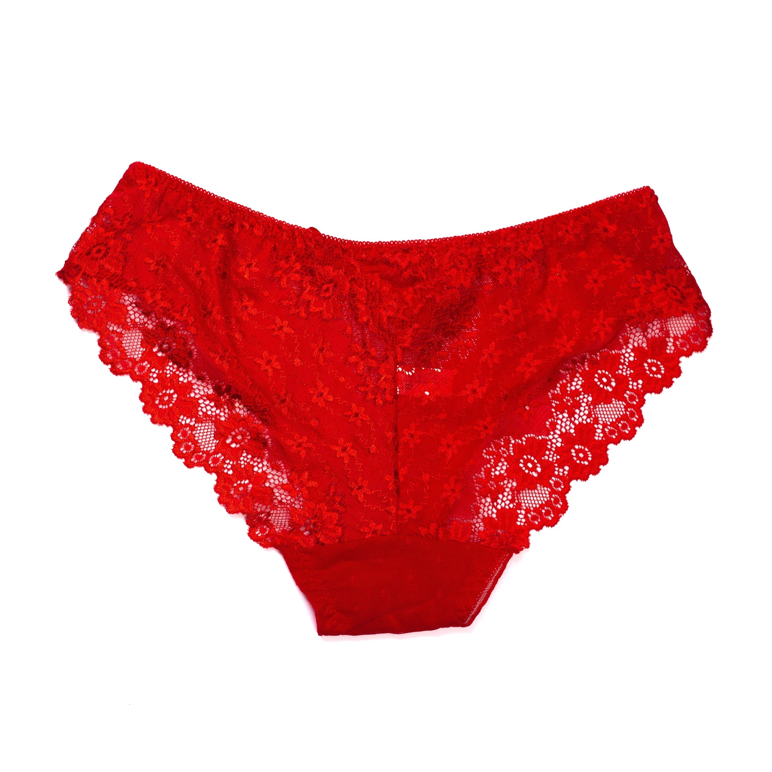 Vougez - Flowers Embroidery Net Panty